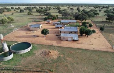 FARM FOR SALE: GROOTFONTEIN DISTRICT