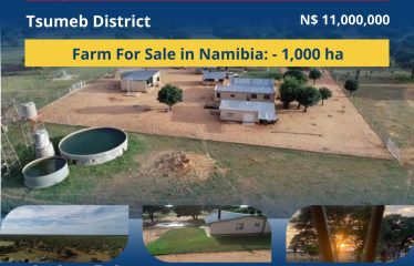 FARM FOR SALE: GROOTFONTEIN DISTRICT