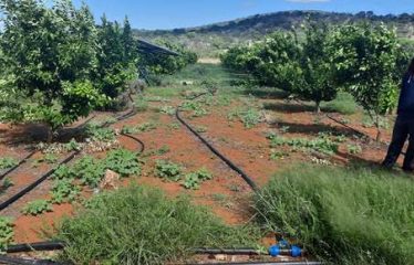 Farms for sale in Namibia – Outjo District