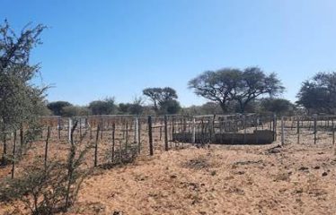 Farms for Sale in Namibia – Hochfeld District