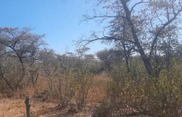 Farms for sale Namibia – Hochfeld District