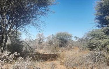 Farms for sale Namibia – Hochfeld District