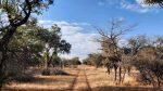 Mixed use farm for sale in Tsumeb District